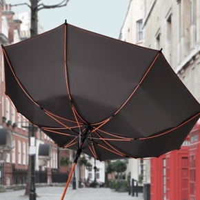 Immagine per la categoria Ombrelli