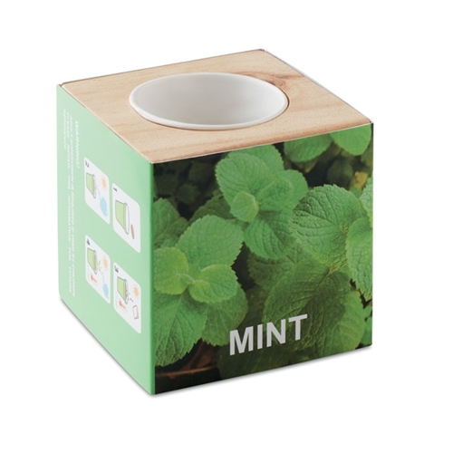 Immagine di MO9337 MENTA - Mini vaso in legno