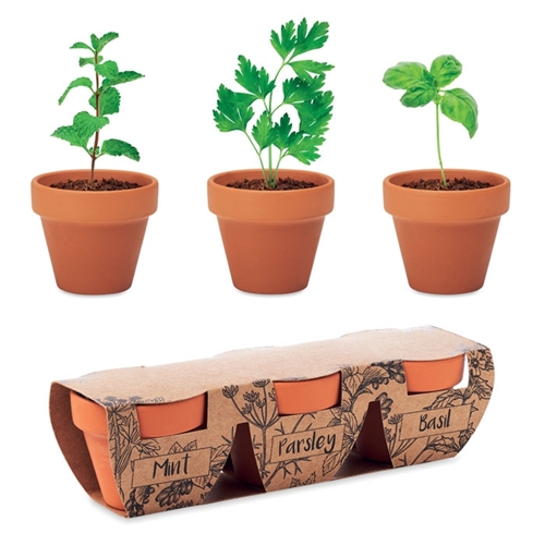 Immagine di MO6145 FLOWERPOT - Set di erbe in terracotta