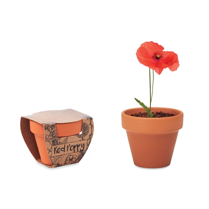 Immagine di MO6148 RED POPPY - Semi di papavero