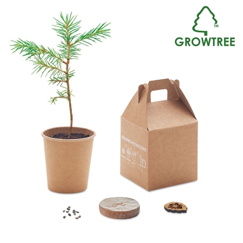 Immagine di MO6228 GROWTREE™ - Set in legno di pino