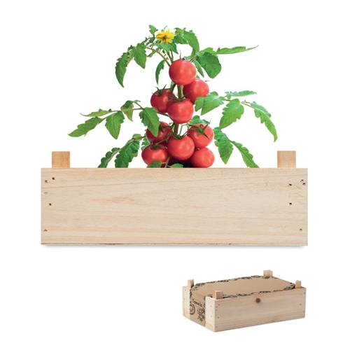 Immagine di MO6498 TOMATO - Kit di semi di pomodor