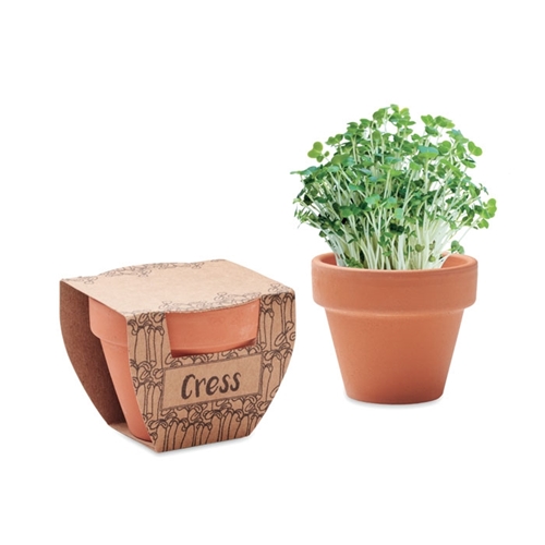 Immagine di MO2219 CRESS POT - Semi di crescione in vaso