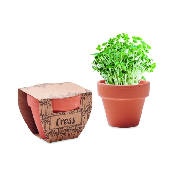 Immagine di KW2219 CRESS POT - Semi di crescione in vaso