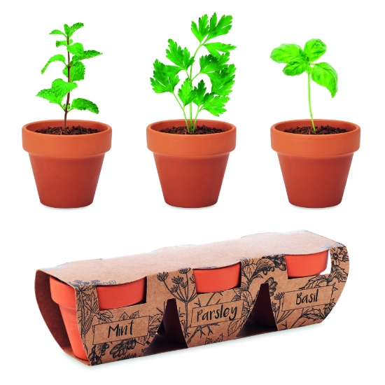 Immagine di KW6145 FLOWERPOT - Set di erbe in terracotta