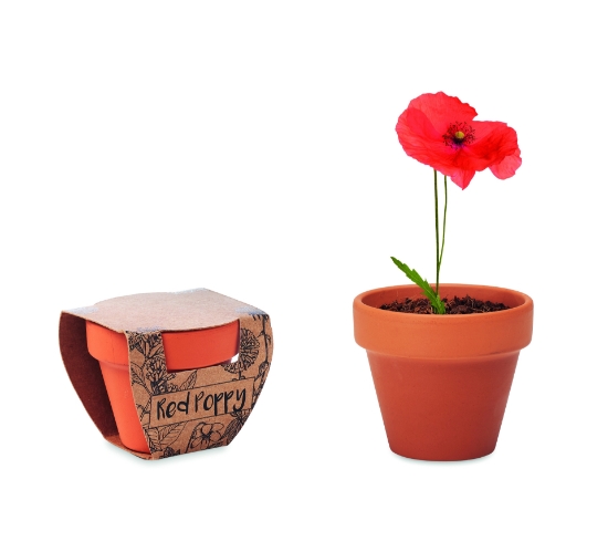 Immagine di KW6148 RED POPPY - Semi di papavero