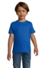 Immagine di KW01183 - Regent fit kids 150g