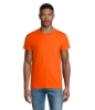 Immagine di KW03582 - Crusader uomo t shirt 150