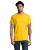 Immagine di KW11500 - Imperial uomo t shirt 190