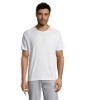 Immagine di KW11939 - T-shirt sporty uomo