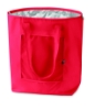 Immagine di KW7214 - Borsa termica ripiegabile.