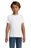 Immagine di KW01183 - Regent fit kids 150g