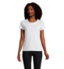 Immagine di KW03581 - Crusader donna t shirt150