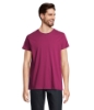 Immagine di KW03582 - Crusader uomo t shirt 150
