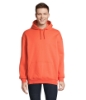 Immagine di KW03815 - Condor felpa unisex