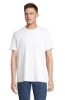 Immagine di KW03981 - Legend t shirt 175g