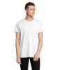 Immagine di KW04233 - T shirt re crusader 150g