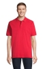 Immagine di KW04242 - Polo pegase organica 210g