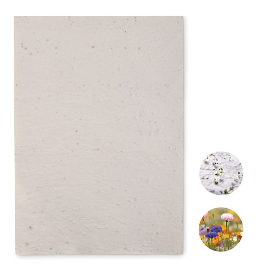 Immagine di KW6914 - Foglio a4 in carta con semi