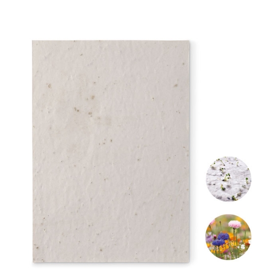 Immagine di KW6915 - Foglio a5 in carta con semi