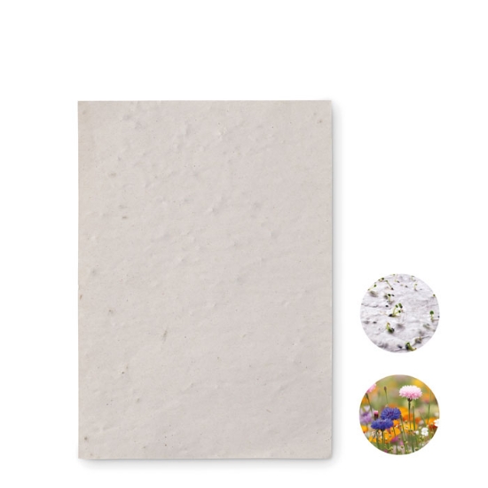 Immagine di KW6916 - Foglio a6 in carta con semi
