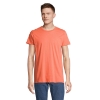 Immagine di KW03582 - Crusader uomo t shirt 150