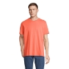 Immagine di KW03981 - Legend t shirt 175g