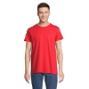 Immagine di KW04233 - T shirt re crusader 150g