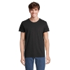 Immagine di KW04233 - T shirt re crusader 150g