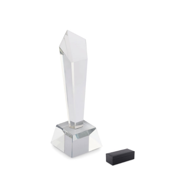 Immagine di KW2236 - Premio in cristallo