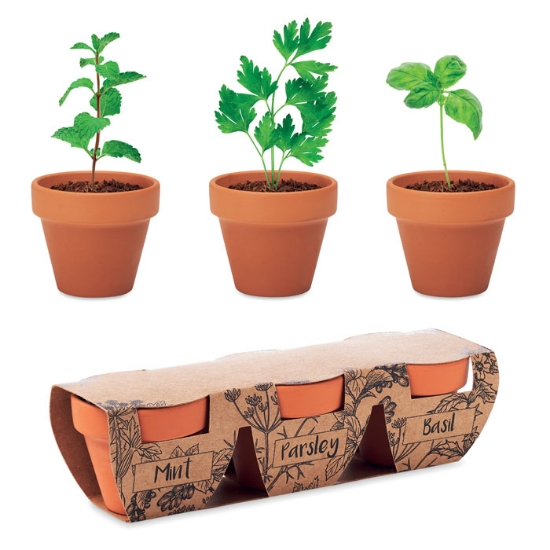 Immagine di KW6145 - Set di erbe in terracotta