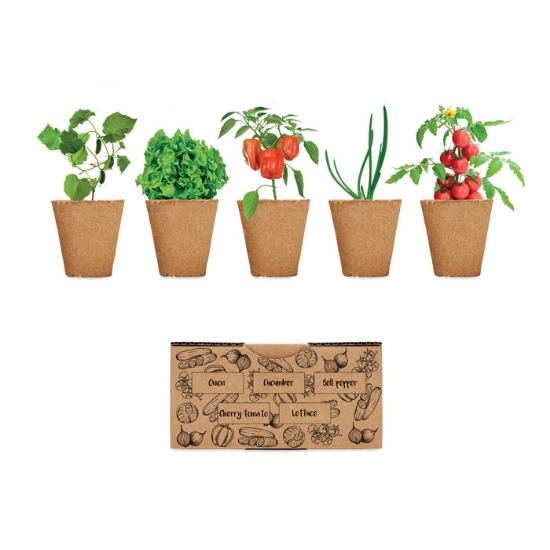 Immagine di KW6499 - Kit per coltivare insalata