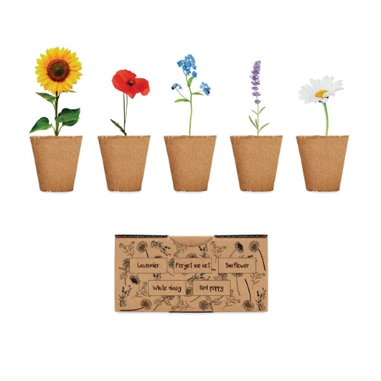 Immagine di KW6500 - Kit per coltivare fiori
