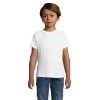Immagine di KW01183 - Regent fit kids 150g