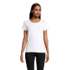 Immagine di KW03581 - Crusader donna t shirt150