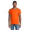 Immagine di KW03582 - Crusader uomo t shirt 150