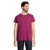 Immagine di KW03582 - Crusader uomo t shirt 150