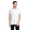 Immagine di KW04233 - T shirt re crusader 150g