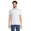 Immagine di KW04769 - Palermo polo
